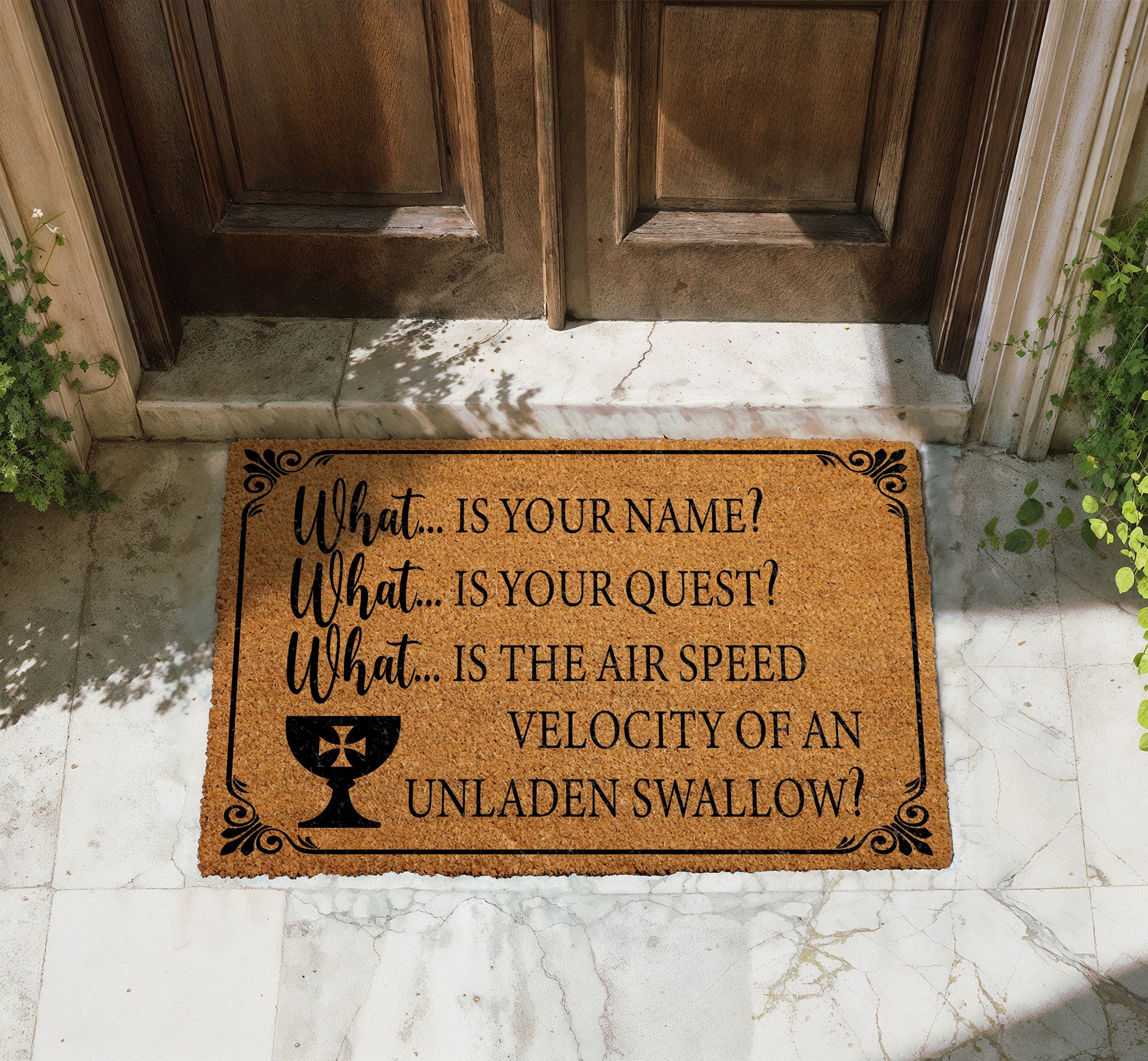 Decorate with Personality: Unladen Swallow, Bridge Of Death Welcome Mat