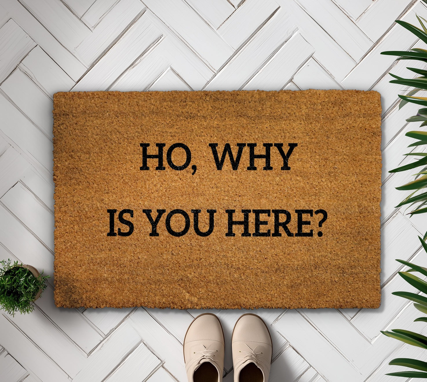 Humorous Doormat: Rude & Sarcastic Front Porch Rug for Home